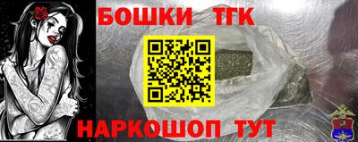 МДПВ Камышлов