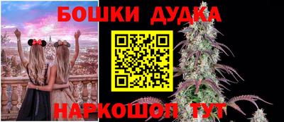МДПВ Камышлов
