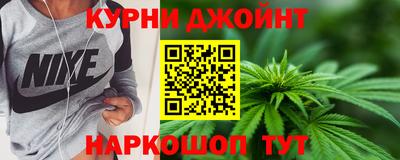 МДПВ Камышлов