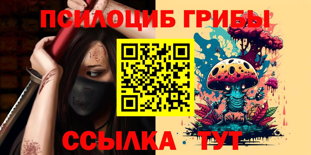 Псилоцибиновые грибы Psilocybine cubensis Красногорск