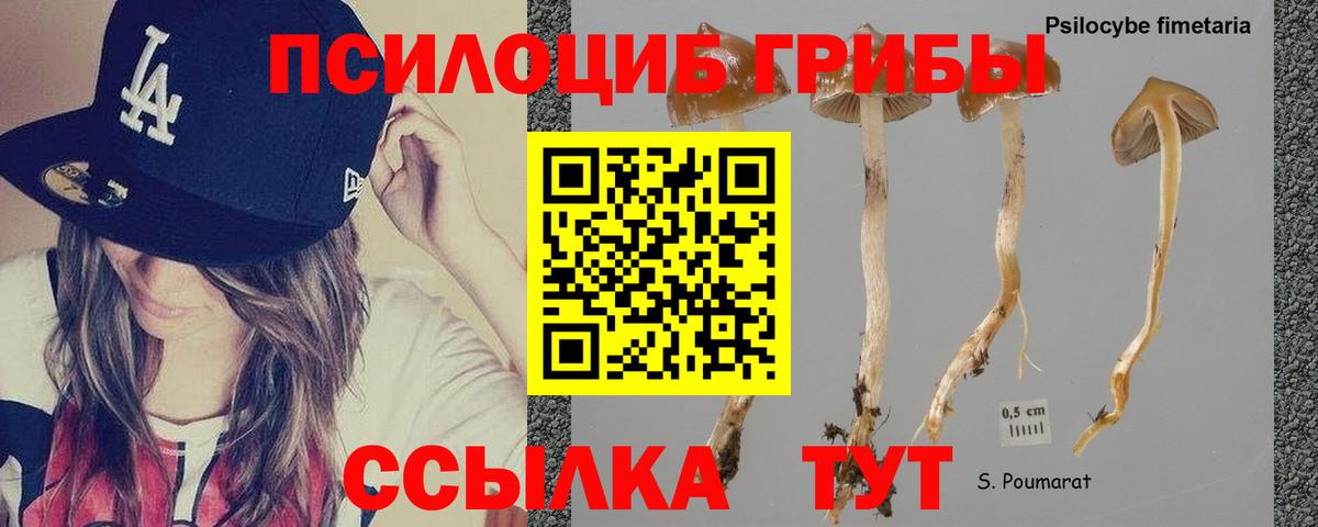 Псилоцибиновые грибы Psilocybine cubensis  Вход с VPN  Красногорск 